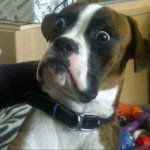 My gosh.jpg My gosh.jpg