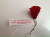 docpoppy.jpg docpoppy.jpg