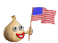 usaOnion.gif