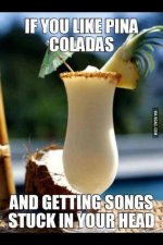 12998670_1029290130473186_3403562339753796617_n (1).jpg