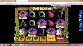 Winaday Full Bloom.jpg